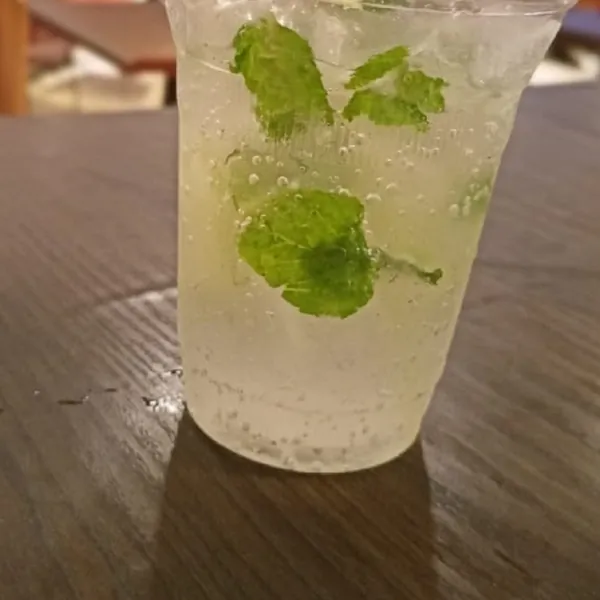 Limonada con hojas de menta y hielo