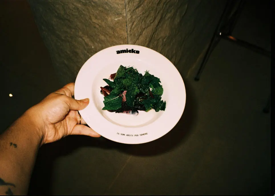 Un plato de verdura con el logo de Amicks, sostenido en la mano